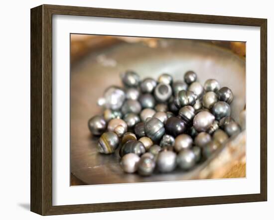 Black Pearl Farming at Hinano Pearl Farm, Fakarava, Tuamotus, French Polynesia-Michele Westmorland-Framed Photographic Print