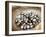 Black Pearl Farming at Hinano Pearl Farm, Fakarava, Tuamotus, French Polynesia-Michele Westmorland-Framed Photographic Print