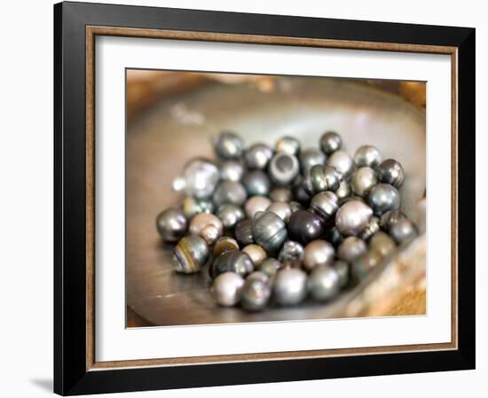 Black Pearl Farming at Hinano Pearl Farm, Fakarava, Tuamotus, French Polynesia-Michele Westmorland-Framed Photographic Print