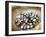 Black Pearl Farming at Hinano Pearl Farm, Fakarava, Tuamotus, French Polynesia-Michele Westmorland-Framed Photographic Print