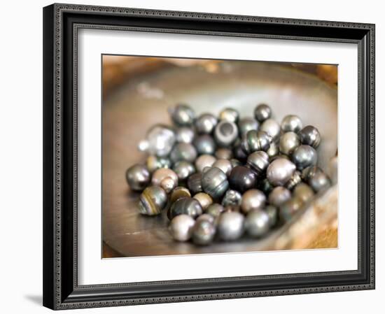 Black Pearl Farming at Hinano Pearl Farm, Fakarava, Tuamotus, French Polynesia-Michele Westmorland-Framed Photographic Print