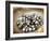 Black Pearl Farming at Hinano Pearl Farm, Fakarava, Tuamotus, French Polynesia-Michele Westmorland-Framed Photographic Print