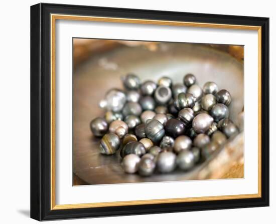 Black Pearl Farming at Hinano Pearl Farm, Fakarava, Tuamotus, French Polynesia-Michele Westmorland-Framed Photographic Print