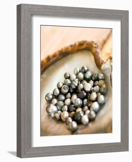 Black Pearl Farming at Hinano Pearl Farm, Fakarava, Tuamotus, French Polynesia-Michele Westmorland-Framed Photographic Print