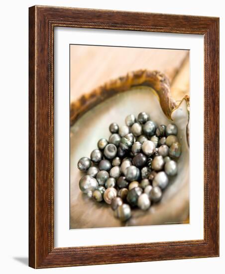 Black Pearl Farming at Hinano Pearl Farm, Fakarava, Tuamotus, French Polynesia-Michele Westmorland-Framed Photographic Print