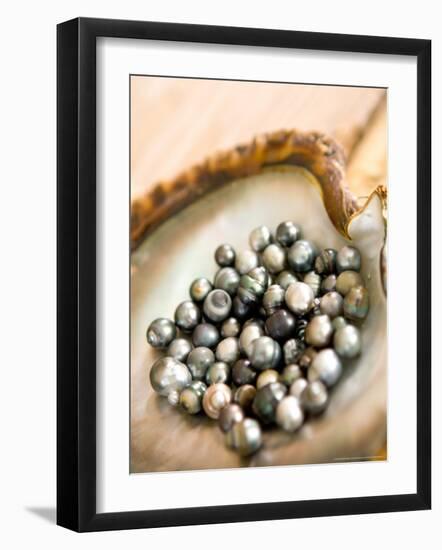 Black Pearl Farming at Hinano Pearl Farm, Fakarava, Tuamotus, French Polynesia-Michele Westmorland-Framed Photographic Print