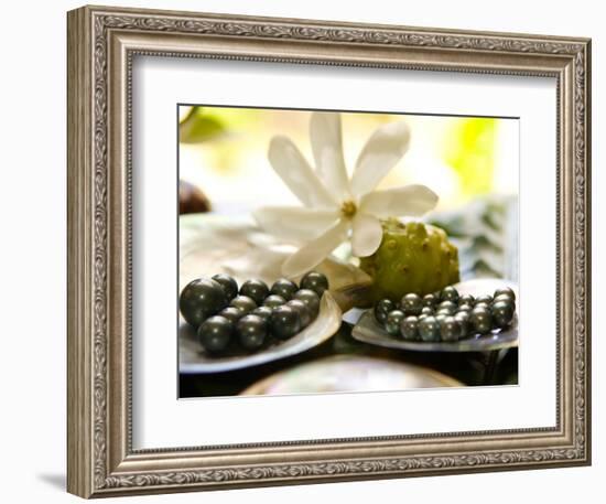 Black Pearl Farming at Hinano Pearl Farm, Fakarava, Tuamotus, French Polynesia-Michele Westmorland-Framed Photographic Print