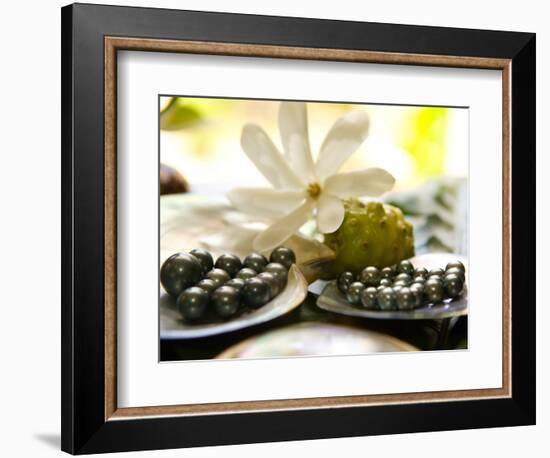 Black Pearl Farming at Hinano Pearl Farm, Fakarava, Tuamotus, French Polynesia-Michele Westmorland-Framed Photographic Print