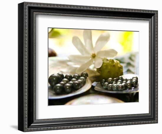 Black Pearl Farming at Hinano Pearl Farm, Fakarava, Tuamotus, French Polynesia-Michele Westmorland-Framed Photographic Print