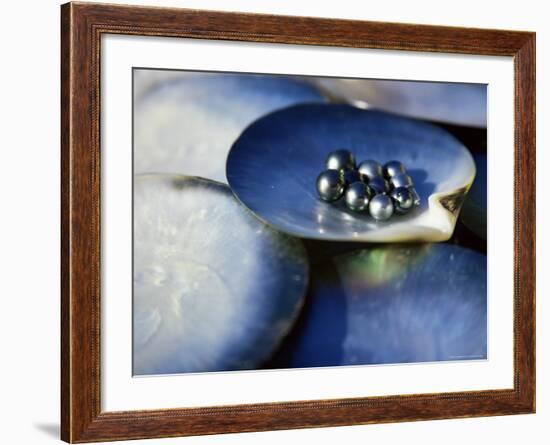 Black Pearls, Cook Islands, South Pacific-D H Webster-Framed Photographic Print