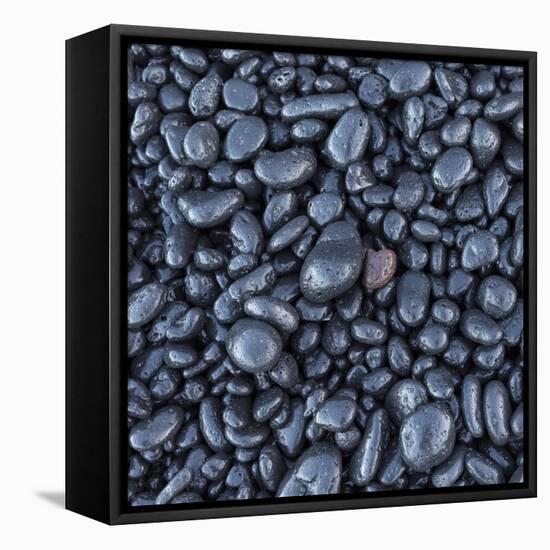 Black pebble rocks on Miloli'i Beach, Big Island, Hawaii-Maresa Pryor-Framed Premier Image Canvas