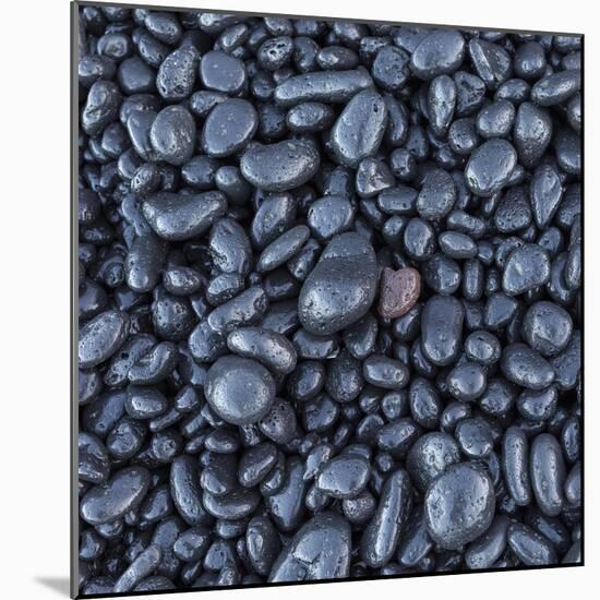 Black pebble rocks on Miloli'i Beach, Big Island, Hawaii-Maresa Pryor-Mounted Photographic Print