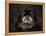 Black Pekingese Portrait-Jai Johnson-Framed Premier Image Canvas