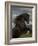 Black Peruvian Paso Stallion Rearing, Sante Fe, NM, USA-Carol Walker-Framed Photographic Print