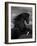 Black Peruvian Paso Stallion Rearing, Sante Fe, NM, USA-Carol Walker-Framed Photographic Print