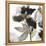 Black Petals Gold Leaves II-Asia Jensen-Framed Stretched Canvas