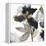 Black Petals Gold Leaves II-Asia Jensen-Framed Stretched Canvas