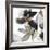 Black Petals Gold Leaves II-Asia Jensen-Framed Art Print