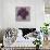 Black Plum 1-Ariane Martine-Art Print displayed on a wall