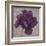 Black Plum 1-Ariane Martine-Framed Art Print