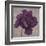 Black Plum 1-Ariane Martine-Framed Art Print