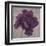 Black Plum 1-Ariane Martine-Framed Art Print