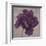 Black Plum 1-Ariane Martine-Framed Art Print