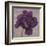 Black Plum 1-Ariane Martine-Framed Art Print