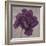 Black Plum 1-Ariane Martine-Framed Art Print