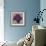 Black Plum 1-Ariane Martine-Framed Art Print displayed on a wall