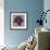 Black Plum 1-Ariane Martine-Framed Art Print displayed on a wall