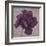 Black Plum 1-Ariane Martine-Framed Art Print