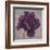 Black Plum 1-Ariane Martine-Framed Art Print