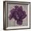 Black Plum 1-Ariane Martine-Framed Art Print