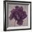 Black Plum 1-Ariane Martine-Framed Art Print