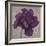 Black Plum 1-Ariane Martine-Framed Art Print