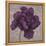 Black Plum 1-Ariane Martine-Framed Stretched Canvas