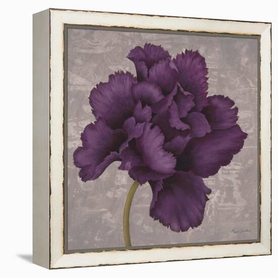 Black Plum 1-Ariane Martine-Framed Stretched Canvas