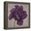 Black Plum 1-Ariane Martine-Framed Stretched Canvas