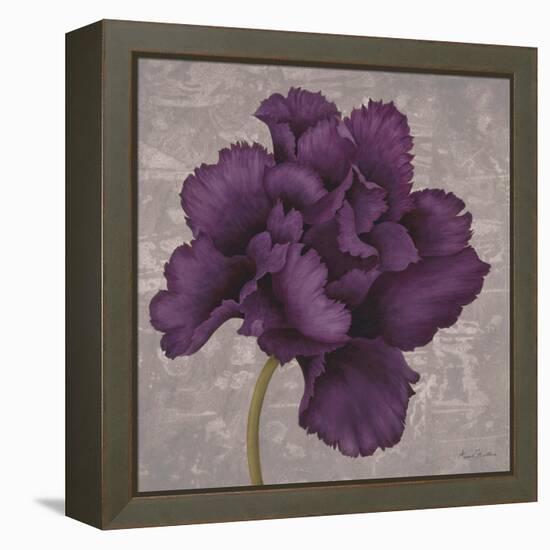 Black Plum 1-Ariane Martine-Framed Stretched Canvas