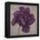 Black Plum 1-Ariane Martine-Framed Stretched Canvas