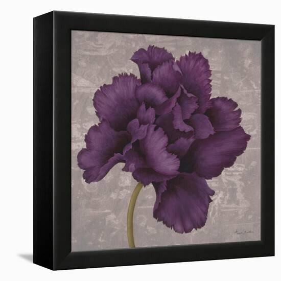 Black Plum 1-Ariane Martine-Framed Stretched Canvas