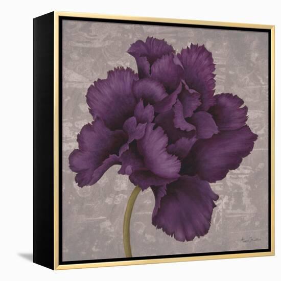 Black Plum 1-Ariane Martine-Framed Stretched Canvas