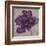 Black Plum 2-Ariane Martine-Framed Art Print