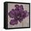 Black Plum 2-Ariane Martine-Framed Stretched Canvas