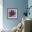 Black Plum 2-Ariane Martine-Framed Art Print displayed on a wall