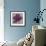 Black Plum 2-Ariane Martine-Framed Art Print displayed on a wall