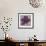 Black Plum 2-Ariane Martine-Framed Art Print displayed on a wall