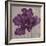 Black Plum 2-Ariane Martine-Framed Art Print