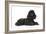 Black Poodle Lying Down-null-Framed Photographic Print